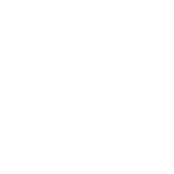 CHIMERA STUDIO